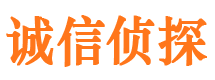 东湖市侦探公司